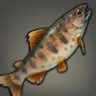 ffxiv calico trout.